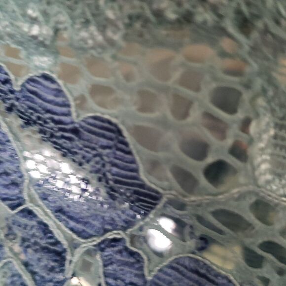 Blue Lace Womens Bra Size 34C Underwire Romantic Floral Good Used - Picture 3 of 4